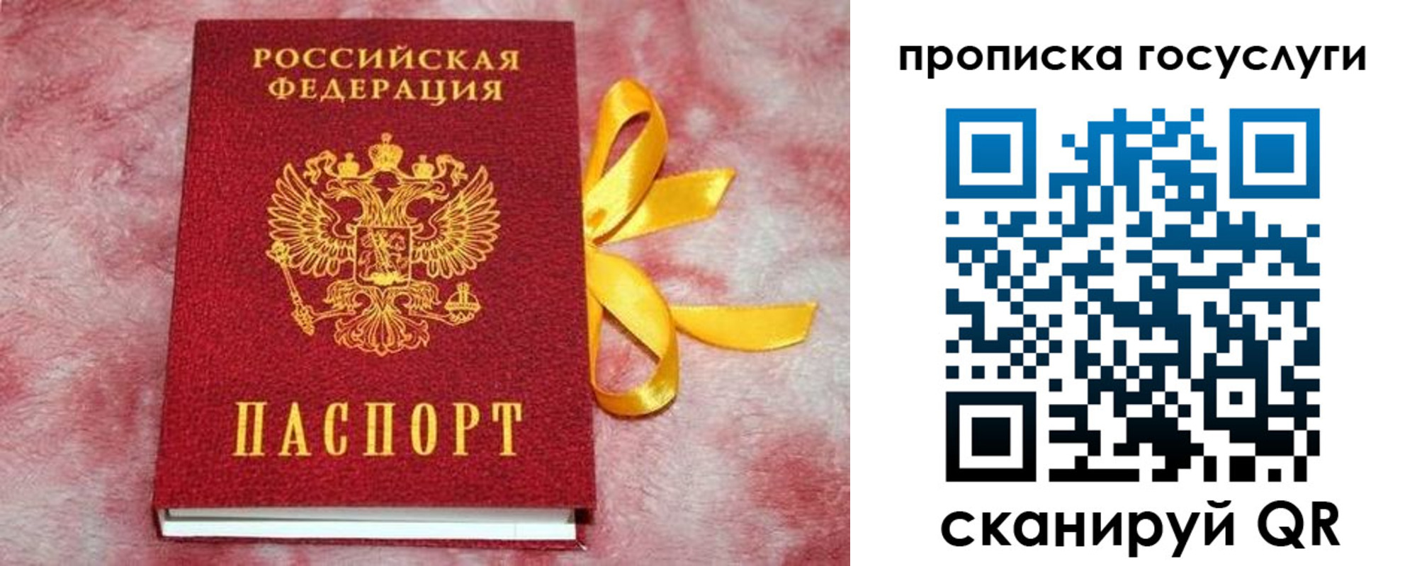 прописка законно в Саранске